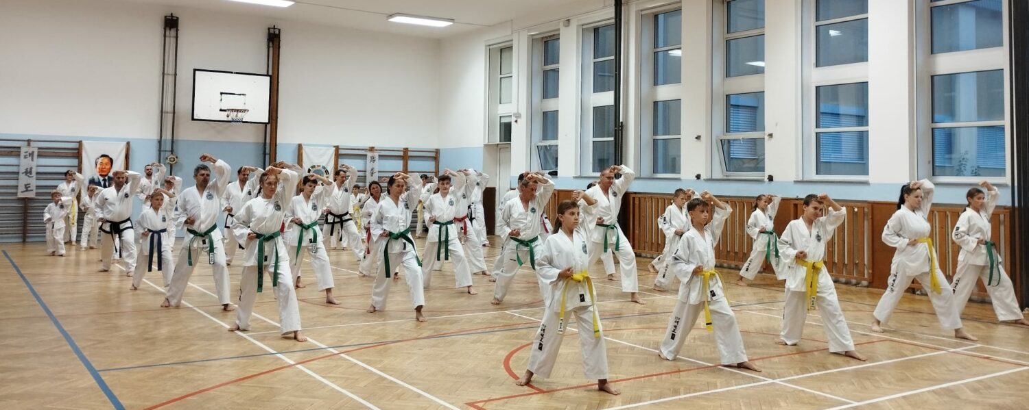 Škola TAEKWON-DO SAM-IL